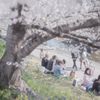 桜の下でお花見する人々