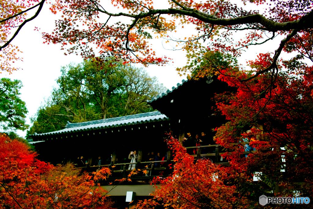 通天橋と紅葉②