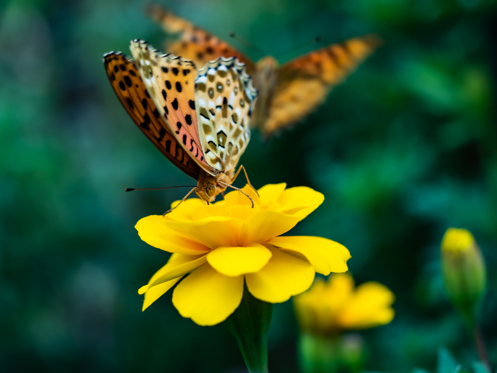 後ろにもいるよね