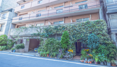 入り口が緑に覆われたマンション