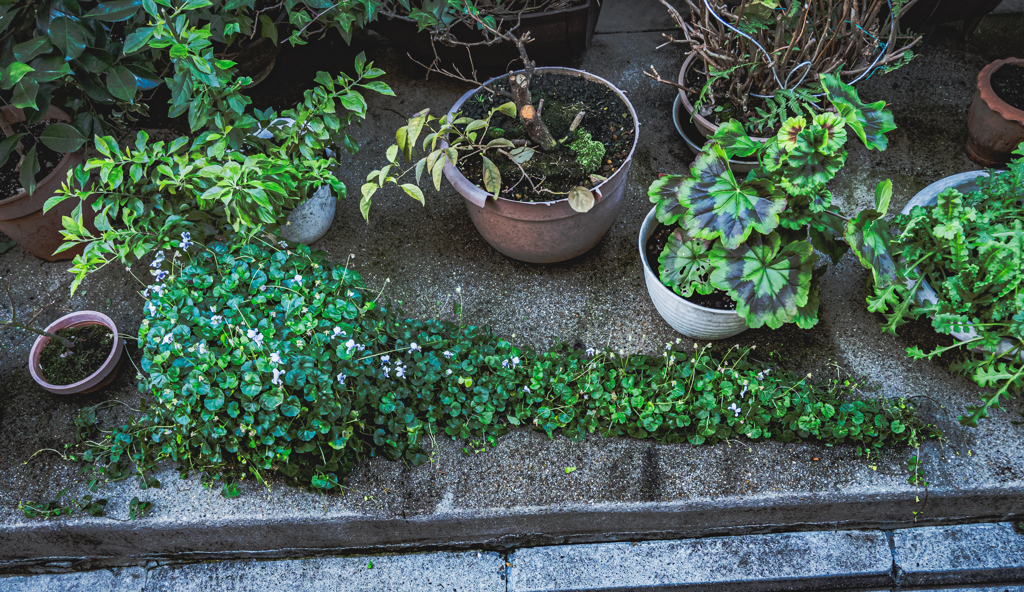 静かにゆっくり確実に・・・