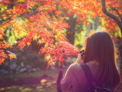 紅葉を撮る人