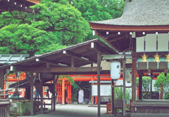 遠くに新郎新婦