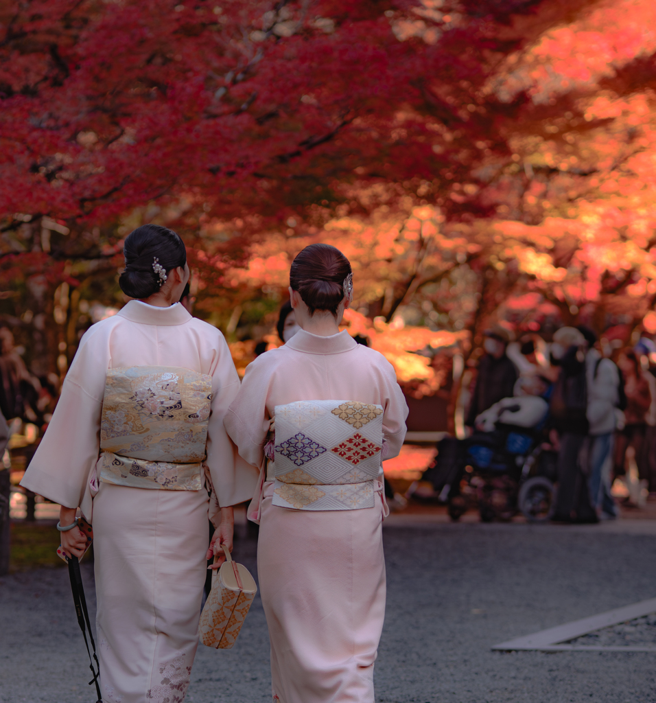 紅葉と着物のおねいさん