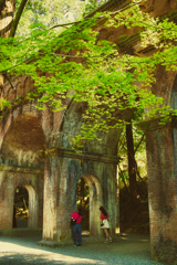 新緑の水路閣 2