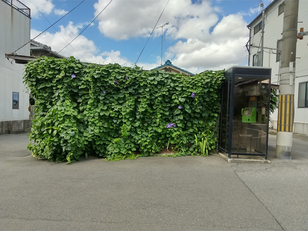 もしもし、今緑の家のとこやねんけど・・・