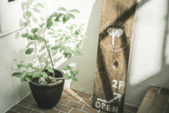木の看板と陽の当たる鉢植え