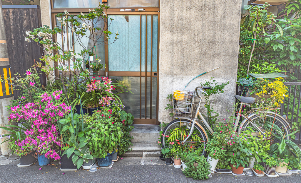 花に囲まれたお家