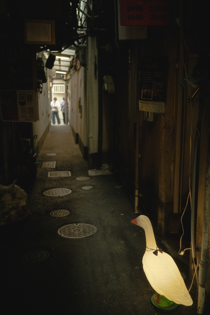 アヒルさんの路地