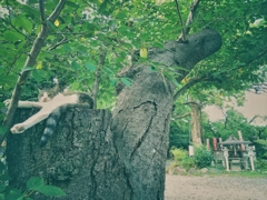 最近暑くてどっか行ってた