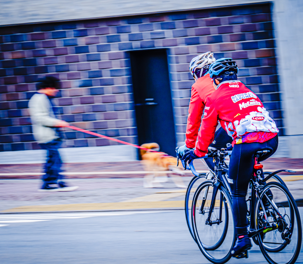 サイクリング