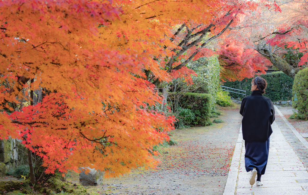 紅葉を見終わり帰る人