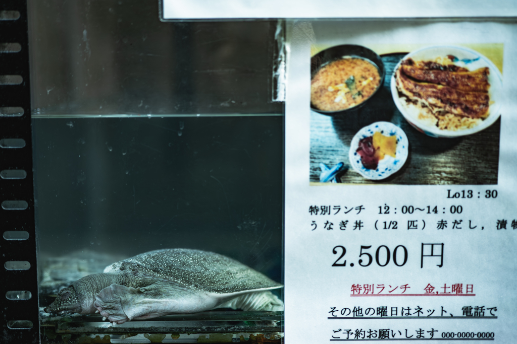 みんなウナギ食べたらええねん