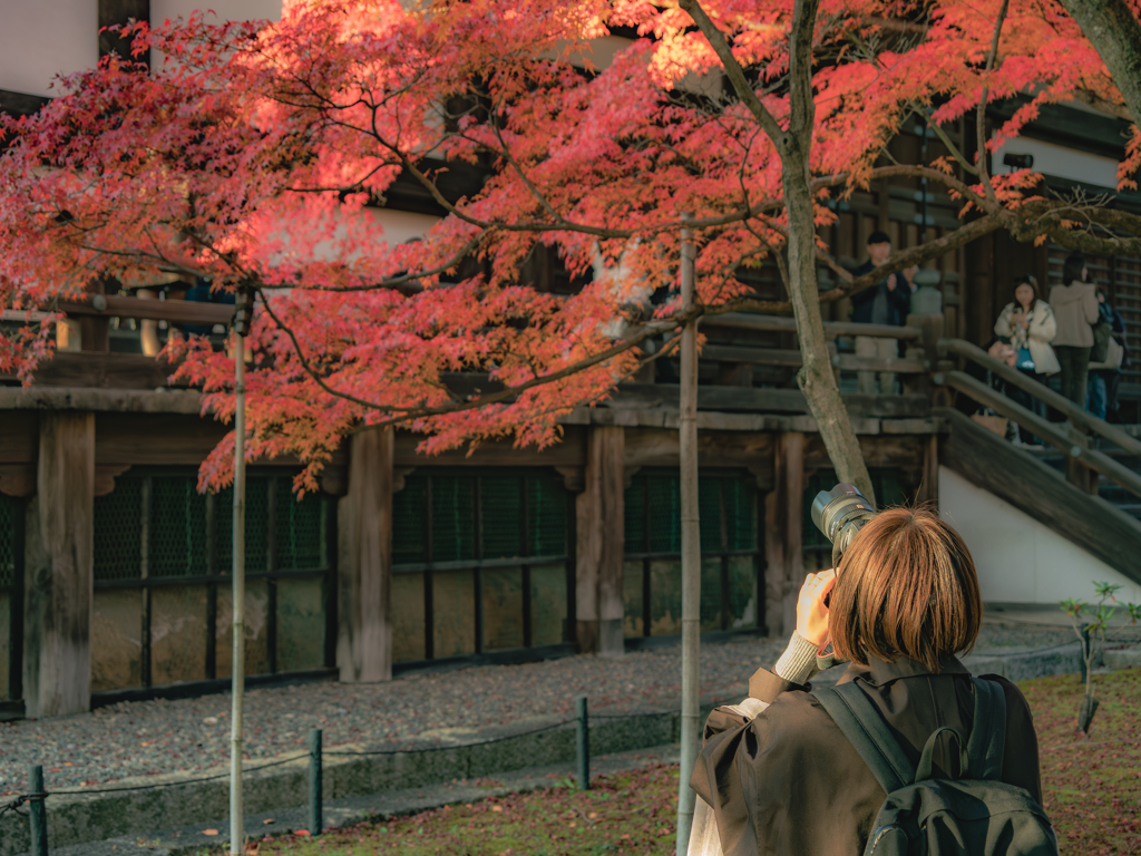 紅葉撮ってるカメラ女子