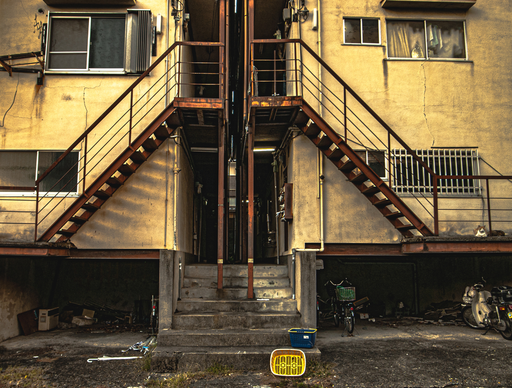 どこかに猫がいるよ