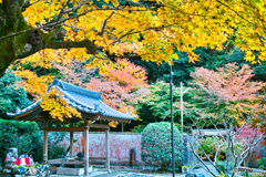 最勝院高徳庵