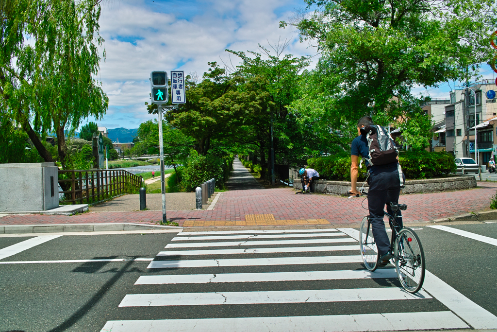 新緑の遊歩道