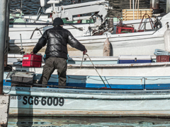 船に燃料入れてはった