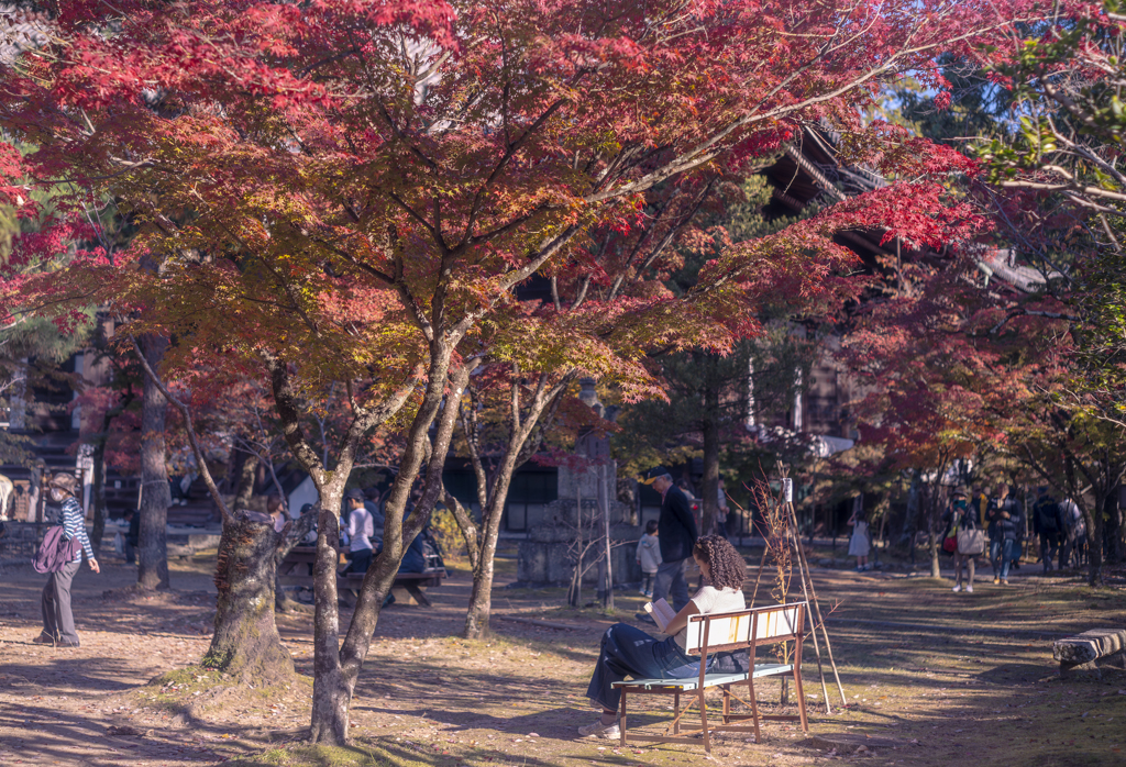 紅葉より読書の秋なおねいさん