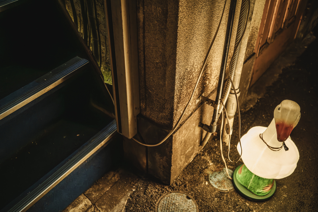 招き鳥のいるお店