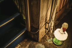 招き鳥のいるお店