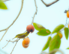 いただきま〜す！！