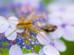 ここに用意されたものを祝福し、わたしたちの心とからだを・・・