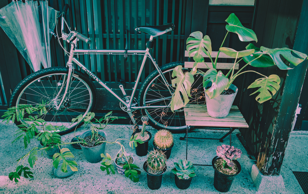 自転車も観葉植物もお洒落