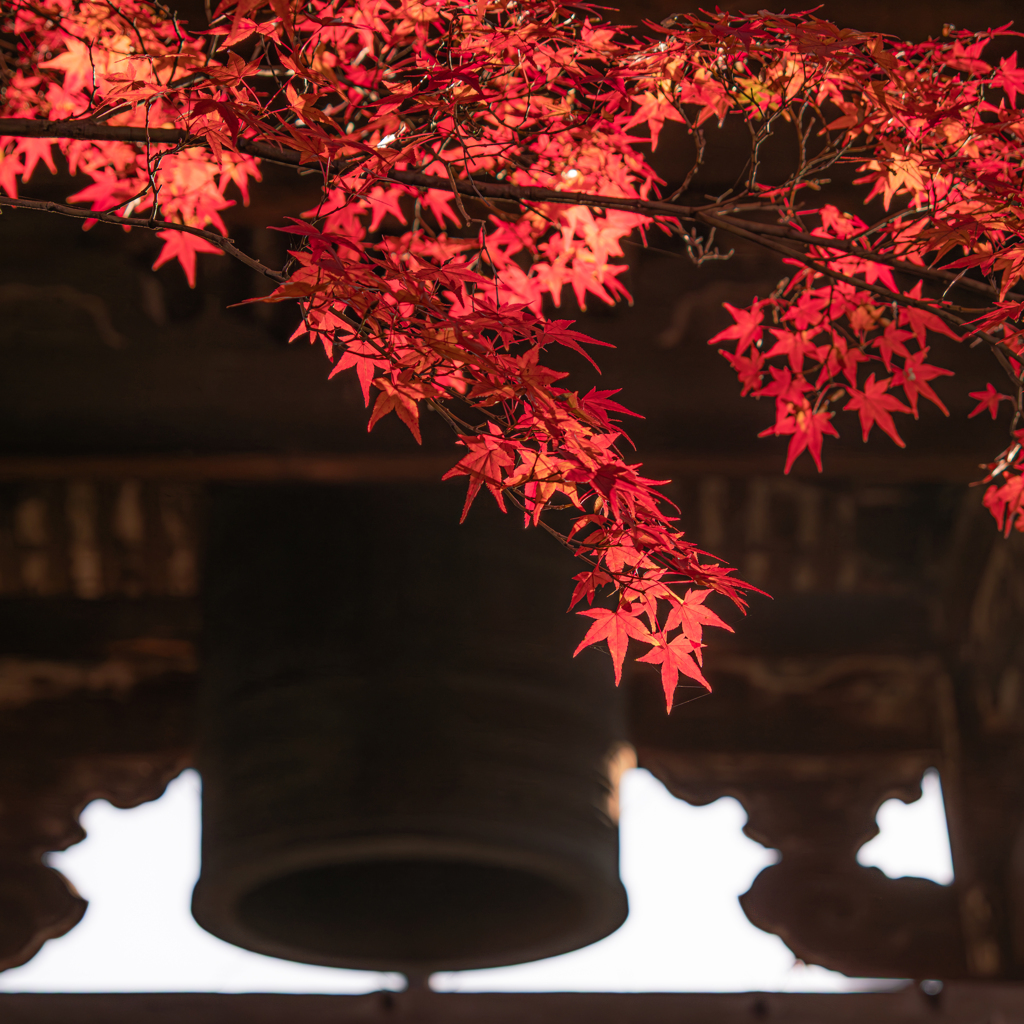 真如堂の紅葉と鐘