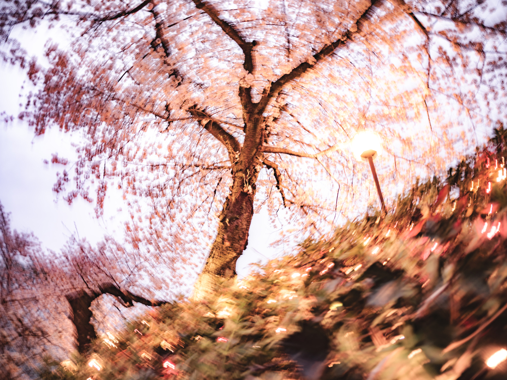 スローなシャッターにしてくれ