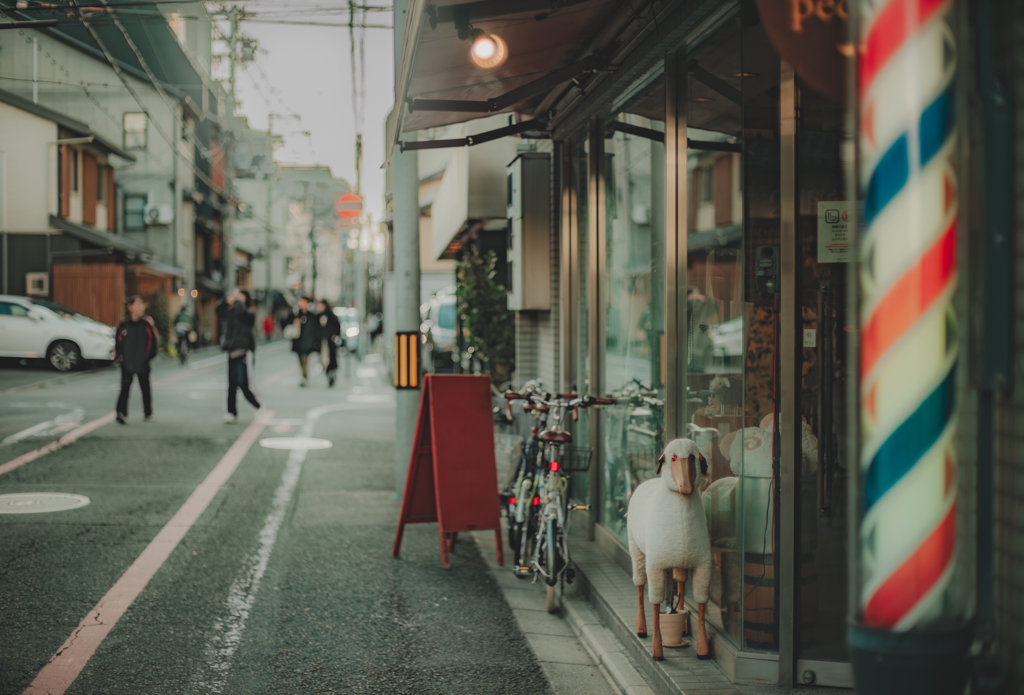 羊さんがいる喫茶店