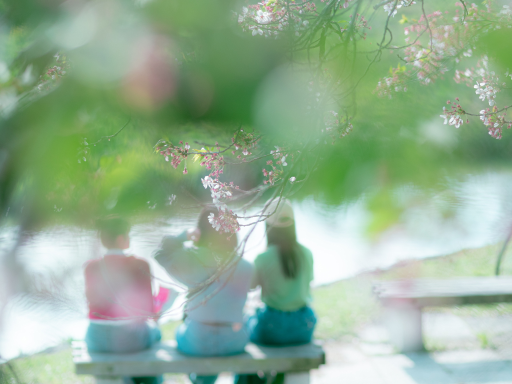 桜の下で楽しそうに話してた