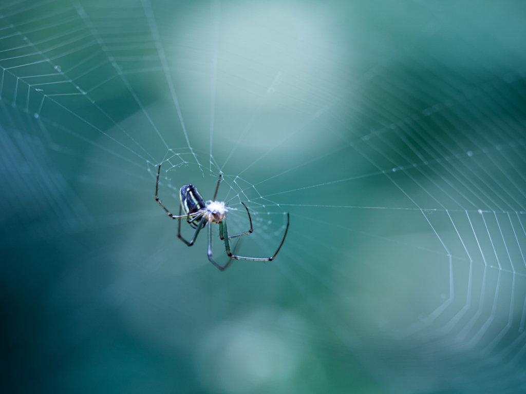 ほんで最後に真ん中の結び目を・・・