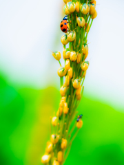 流行りのボルダリングしてんねん