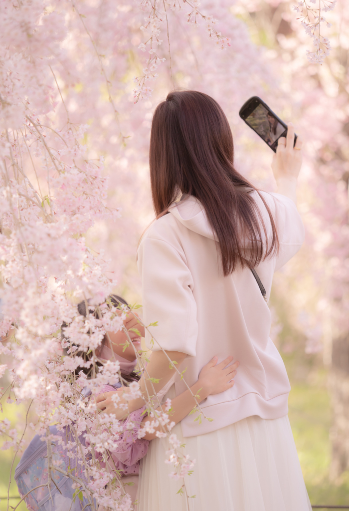枝垂れ桜と親子