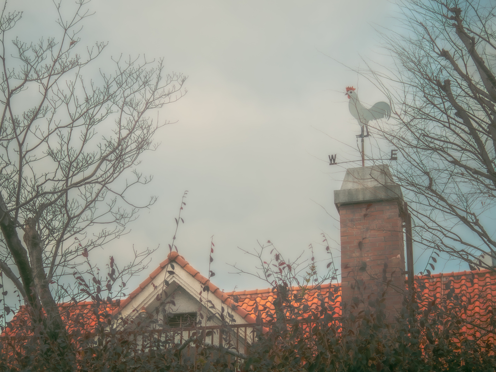 風見鶏のいるレストラン