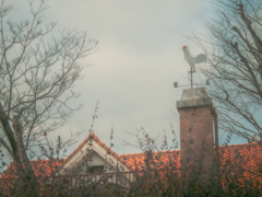 風見鶏のいるレストラン