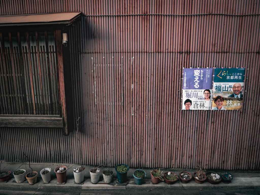 ありあまる鉢植え