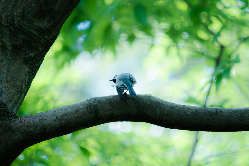 蚊に刺された〜