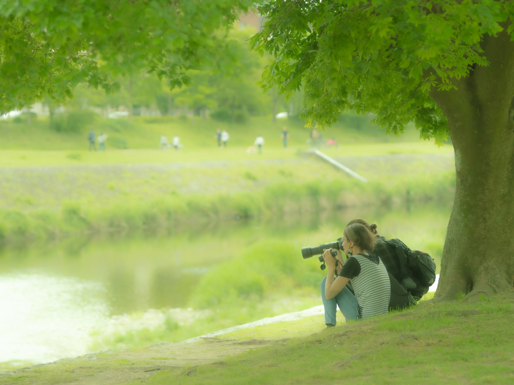 新緑を楽しむ季節