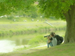 新緑を楽しむ季節