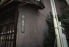 マリではなくシンリ