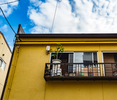 黄色い家の窓辺の観葉植物