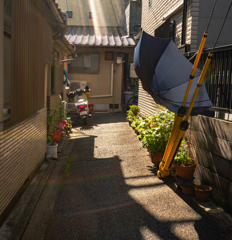 狭い路地を行く