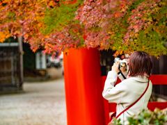 鳥居と紅葉とカメラ女子
