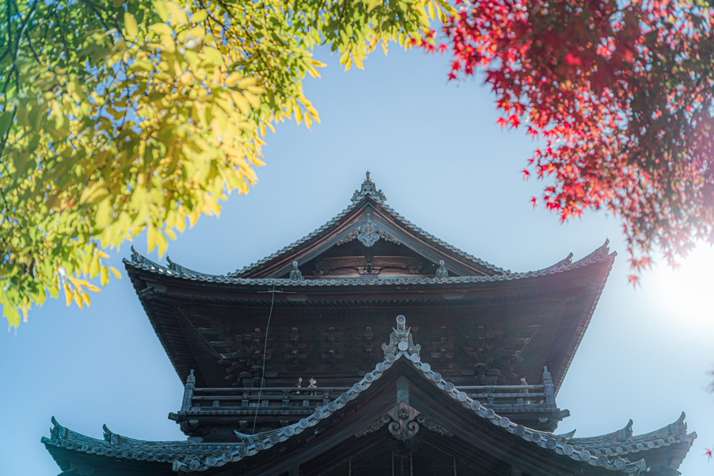 赤と黄色と青い空