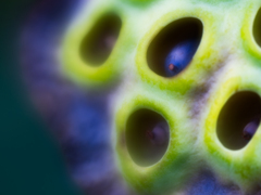 さっさとここから抜け出したい