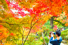 紅葉を撮る人を撮る