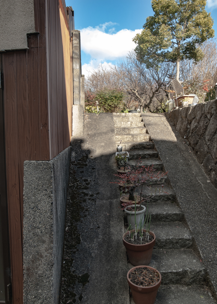 階段に並ぶ鉢植え