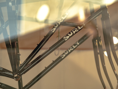 サーリーが気になる今日この頃